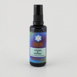 Strength and Success Spray