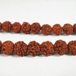 Mala Rudraksha