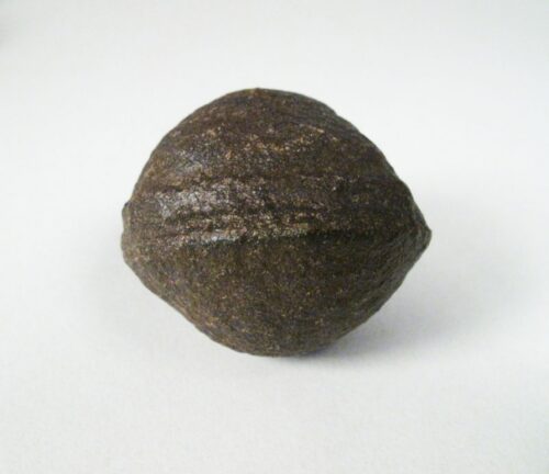 Shaman Stone 5 cm
