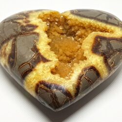 Heart septarian