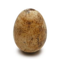 Egg jasper landscape