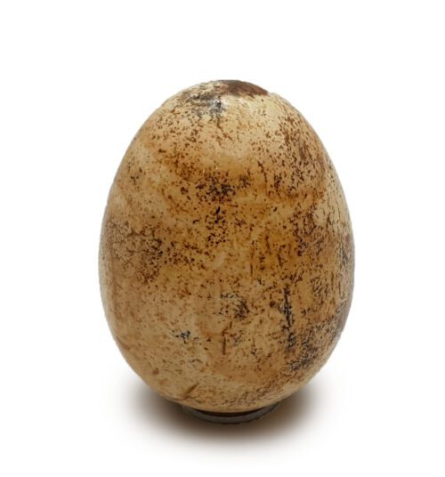 Egg jasper landscape