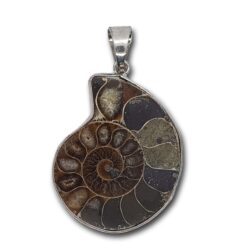 Silver plated Ammonite pendant 1