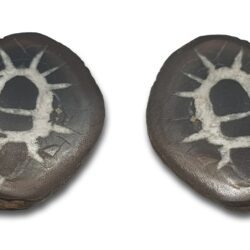 Septarian pair 1