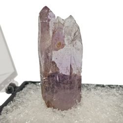 Amethyst vera cruz