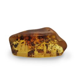 Amber carved landscape inside 1