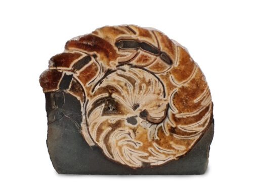 Ammonite Volga Russia