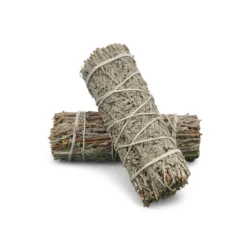 Alternative view of Φασκόμηλο μπλε Ματσάκι καύσης